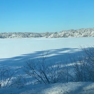 Meet your Posher, Arthur